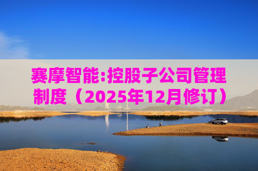 赛摩智能:控股子公司管理制度（2025年12月修订）