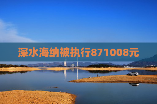 深水海纳被执行871008元