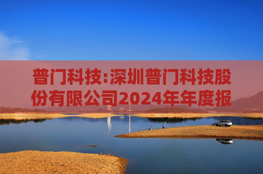 普门科技:深圳普门科技股份有限公司2024年年度报告