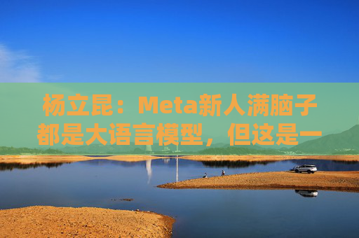 杨立昆：Meta新人满脑子都是大语言模型，但这是一条死胡同