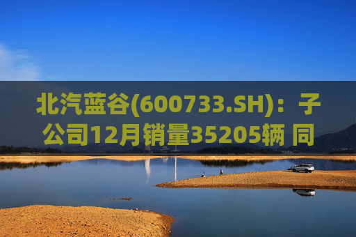 北汽蓝谷(600733.SH)：子公司12月销量35205辆 同比增长114.56%  第1张