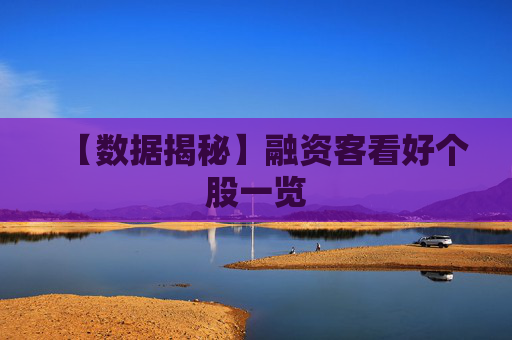 【数据揭秘】融资客看好个股一览