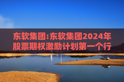 东软集团:东软集团2024年股票期权激励计划第一个行权期2025年第四季度自主行权结果暨股份变动的公告
