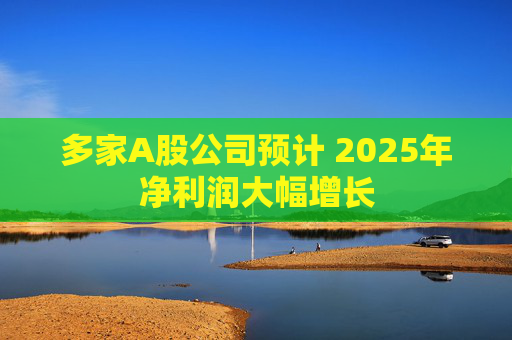 多家A股公司预计 2025年净利润大幅增长