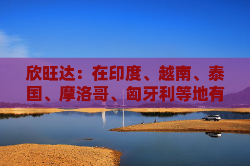 欣旺达：在印度、越南、泰国、摩洛哥、匈牙利等地有生产基地