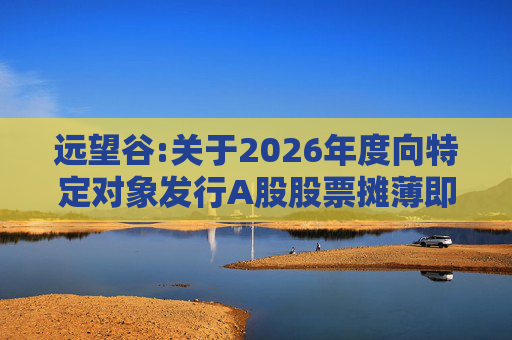 远望谷:关于2026年度向特定对象发行A股股票摊薄即期回报及填补措施和相关主体承诺的公告
