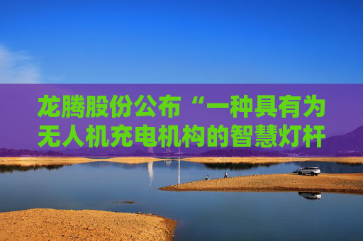 龙腾股份公布“一种具有为无人机充电机构的智慧灯杆”专利