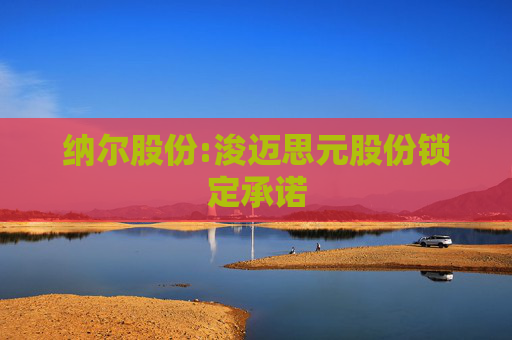 纳尔股份:浚迈思元股份锁定承诺