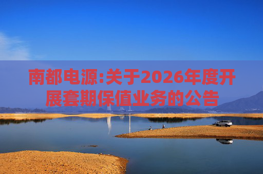南都电源:关于2026年度开展套期保值业务的公告