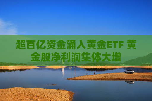 超百亿资金涌入黄金ETF 黄金股净利润集体大增  第1张
