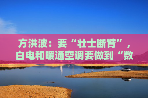 方洪波：要“壮士断臂”，白电和暖通空调要做到“数一数二”