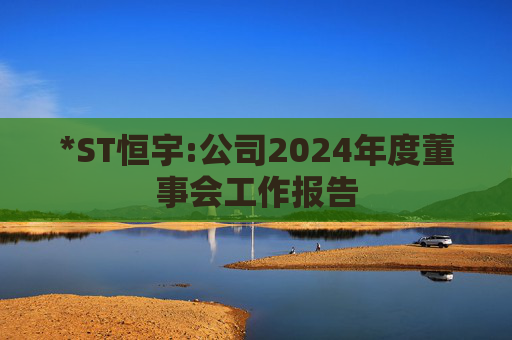 *ST恒宇:公司2024年度董事会工作报告