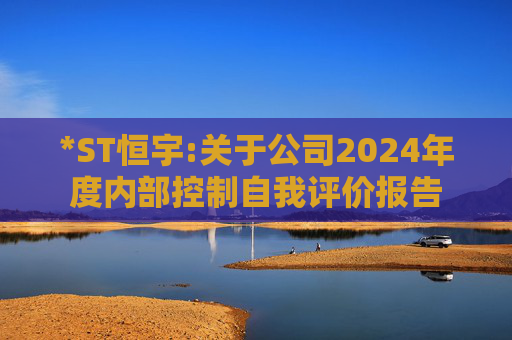 *ST恒宇:关于公司2024年度内部控制自我评价报告