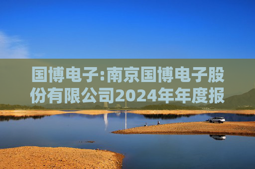 国博电子:南京国博电子股份有限公司2024年年度报告