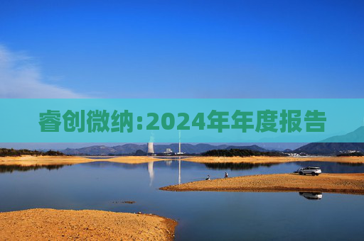 睿创微纳:2024年年度报告