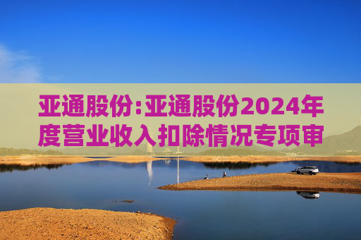 亚通股份:亚通股份2024年度营业收入扣除情况专项审核意见