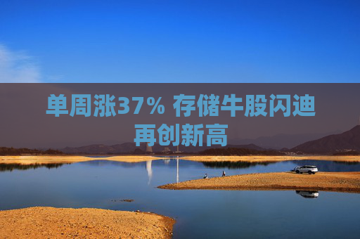 单周涨37% 存储牛股闪迪再创新高