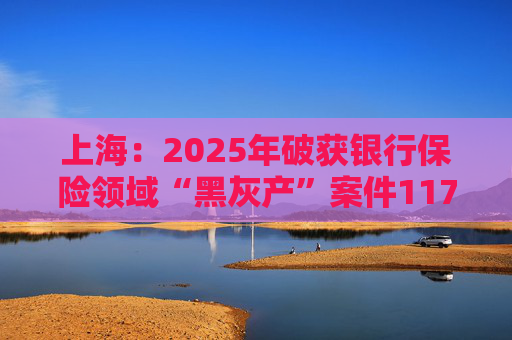 上海：2025年破获银行保险领域“黑灰产”案件117起 持续净化金融生态