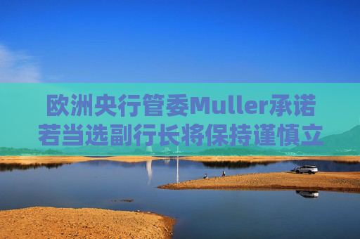 欧洲央行管委Muller承诺若当选副行长将保持谨慎立场