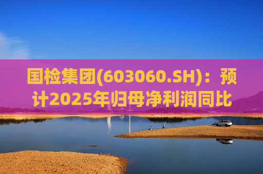 国检集团(603060.SH)：预计2025年归母净利润同比减少42.62%