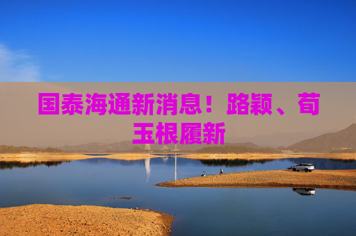 国泰海通新消息！路颖、荀玉根履新