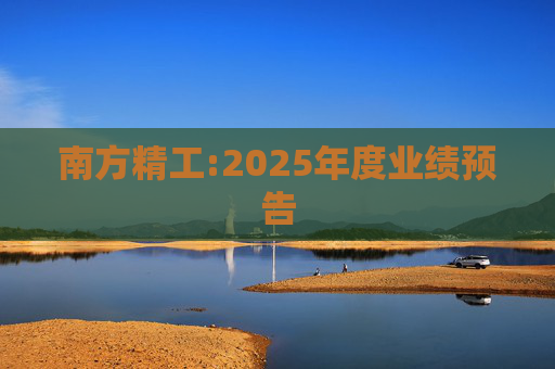 南方精工:2025年度业绩预告