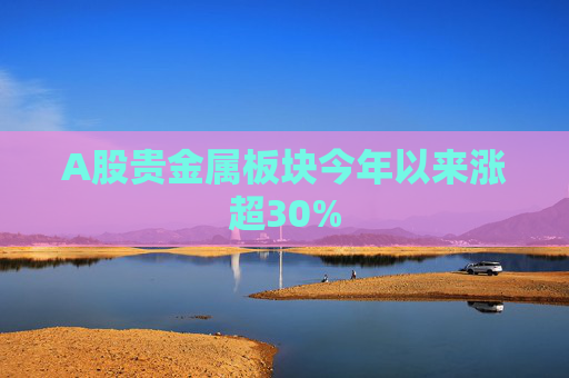 A股贵金属板块今年以来涨超30%