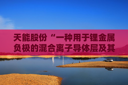 天能股份“一种用于锂金属负极的混合离子导体层及其制备方法和全固态电池”专利获授权