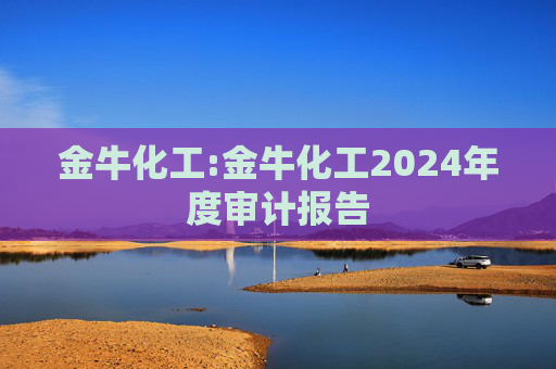 金牛化工:金牛化工2024年度审计报告