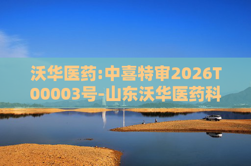 沃华医药:中喜特审2026T00003号-山东沃华医药科技股份有限公司-关联资金占用报告