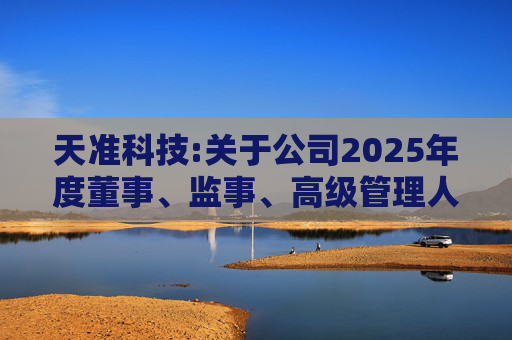 天准科技:关于公司2025年度董事、监事、高级管理人员薪酬方案的公告