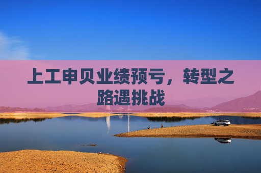 上工申贝业绩预亏，转型之路遇挑战