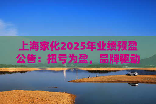 上海家化2025年业绩预盈公告：扭亏为盈，品牌驱动重回增长轨道