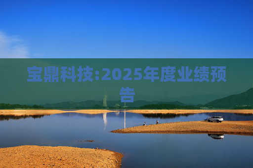 宝鼎科技:2025年度业绩预告