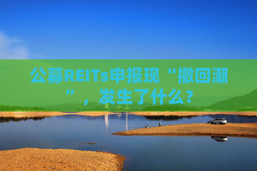 公募REITs申报现“撤回潮”，发生了什么？