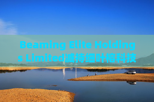 Beaming Elite Holdings Limited减持细叶榕科技(08107)254.5万股 每股作价0.1776港元