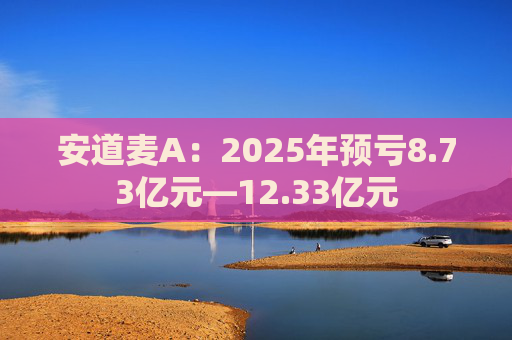 安道麦A：2025年预亏8.73亿元—12.33亿元