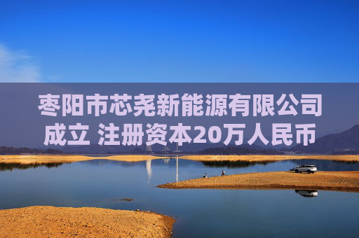 枣阳市芯尧新能源有限公司成立 注册资本20万人民币