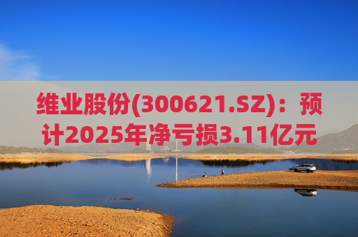 维业股份(300621.SZ)：预计2025年净亏损3.11亿元―4.04亿元