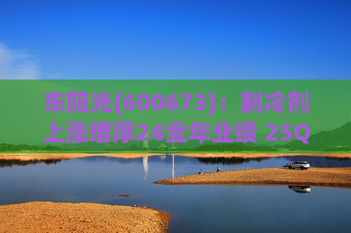 东阳光(600673)：制冷剂上涨增厚24全年业绩 25Q1业绩略超预期 液冷与具身智能共创未来