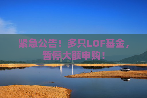 紧急公告！多只LOF基金，暂停大额申购！