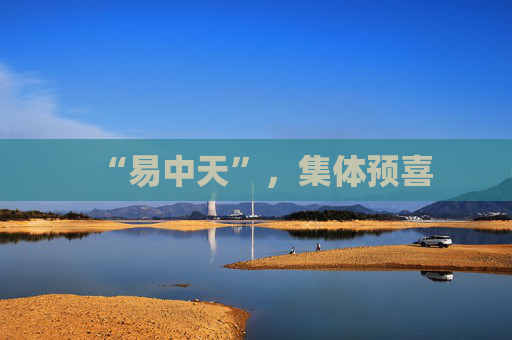 “易中天”，集体预喜