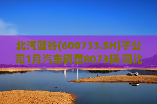 北汽蓝谷(600733.SH)子公司1月汽车销量8073辆 同比增长11.83%