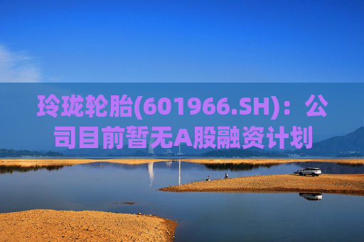 玲珑轮胎(601966.SH)：公司目前暂无A股融资计划