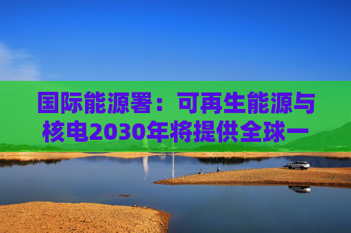 国际能源署：可再生能源与核电2030年将提供全球一半电力