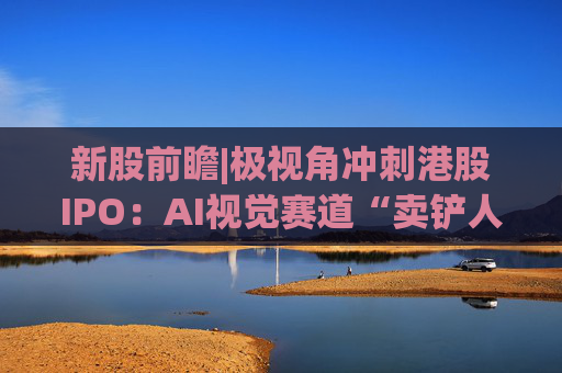 新股前瞻|极视角冲刺港股IPO：AI视觉赛道“卖铲人”潜力可期，盈利波动困境难解