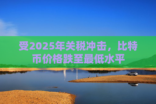 受2025年关税冲击，比特币价格跌至最低水平