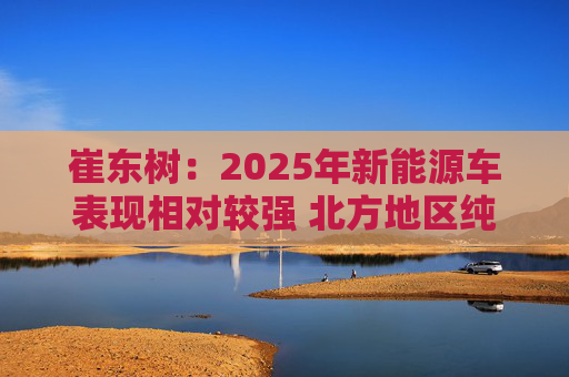 崔东树：2025年新能源车表现相对较强 北方地区纯电动占比提升明显  第1张