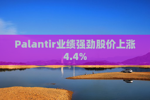 Palantir业绩强劲股价上涨4.4%