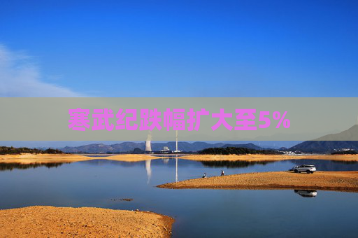 寒武纪跌幅扩大至5%